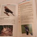 Birds of Alabama Identification Book [C-8]