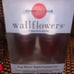 Bath & Body Works Fall Themed Soap & Wallflower Refill/Plug Lot