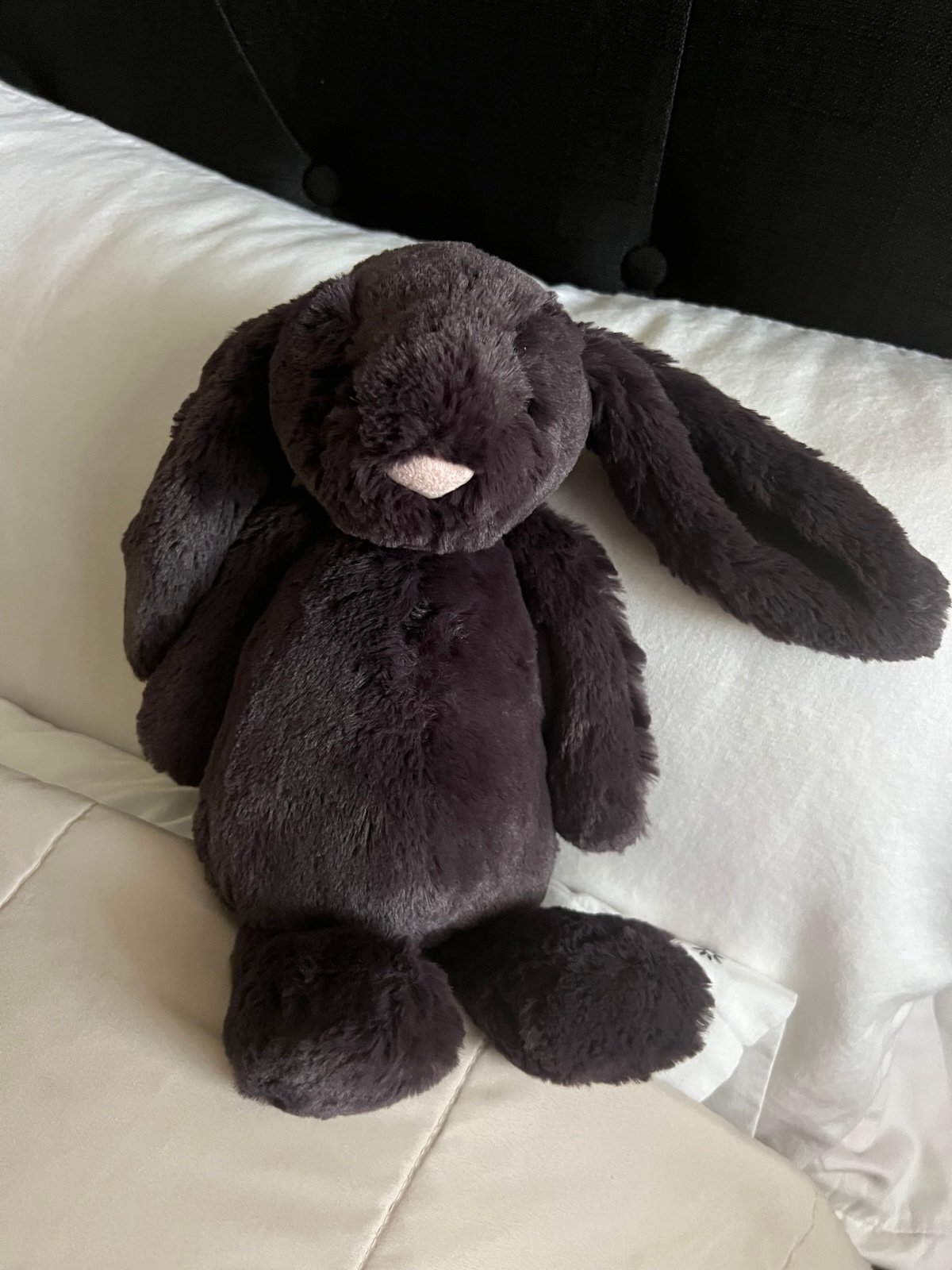 Jelly cat black bunny. Retired!