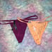 NWT Victoria’s Secret Sexy V-String Panty Bundle- Medium