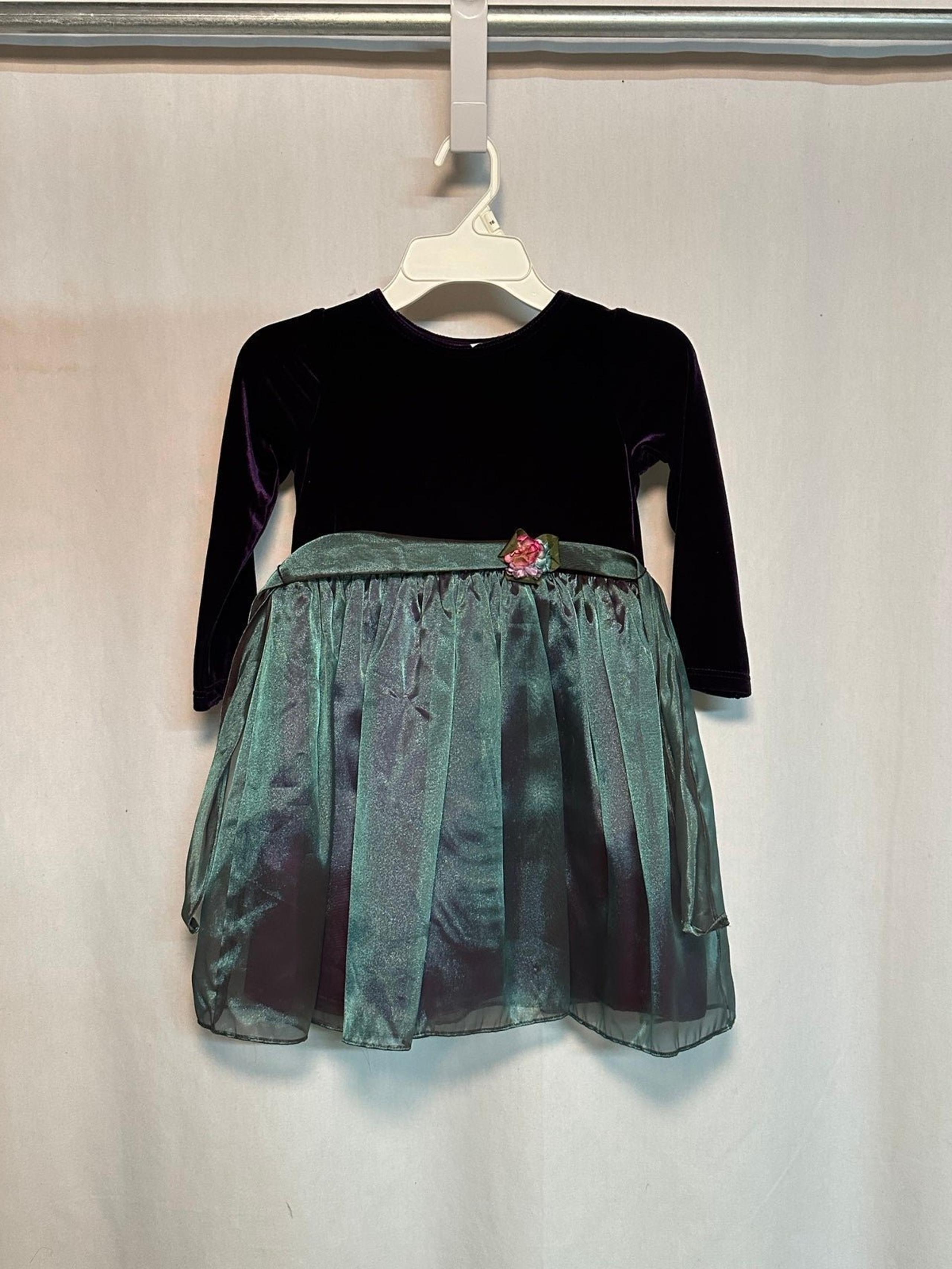 Rare Editions Purple and Green Dress