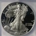 2000 ICG Proof 70 DCAM American Silver Eagle