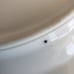 Replacement ! 2 Meito China Aristocrat Bread&Butter Plates