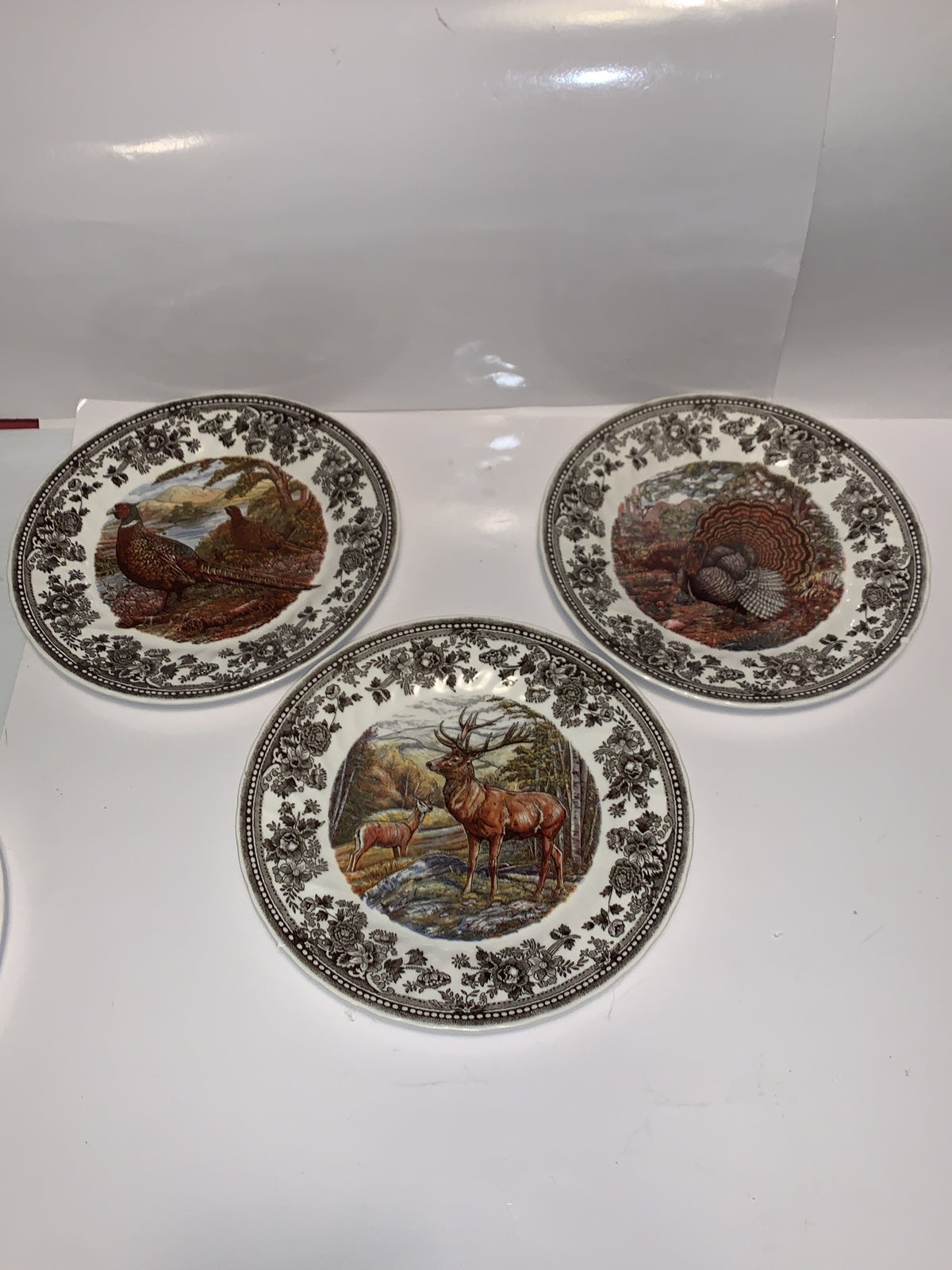 Five Beautiful Queen’s Quintessential Game Dinner Plates
