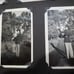 Vintage Photo Album 1920s-1950s. 800+ Pi