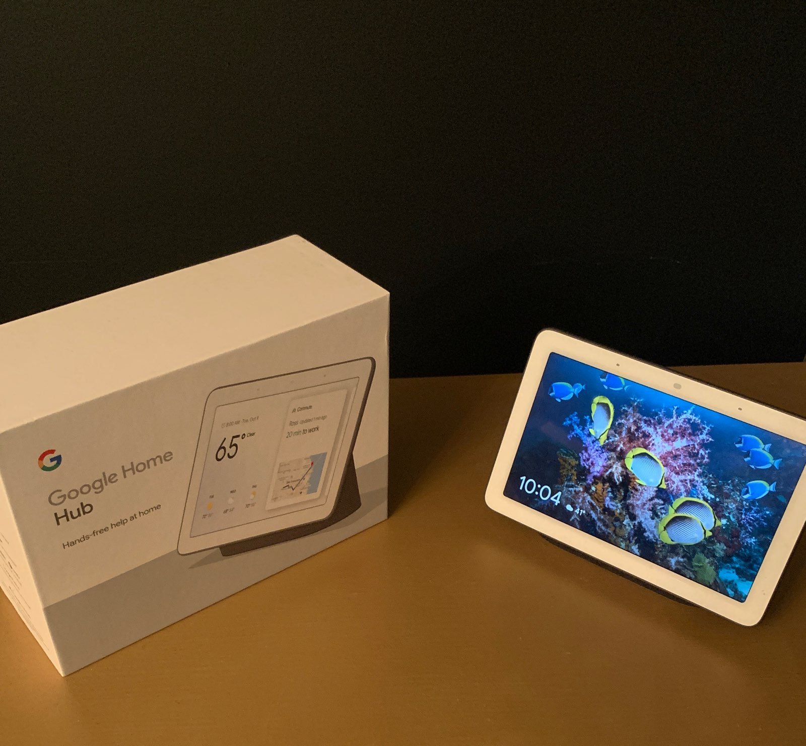 Google home hub