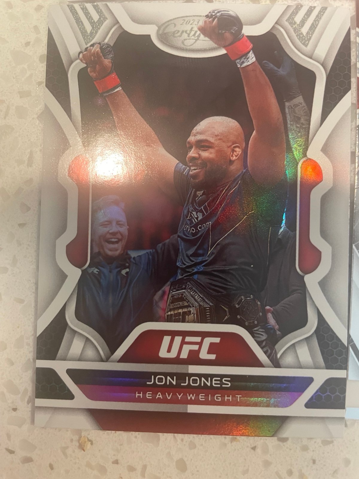 UFC panini
