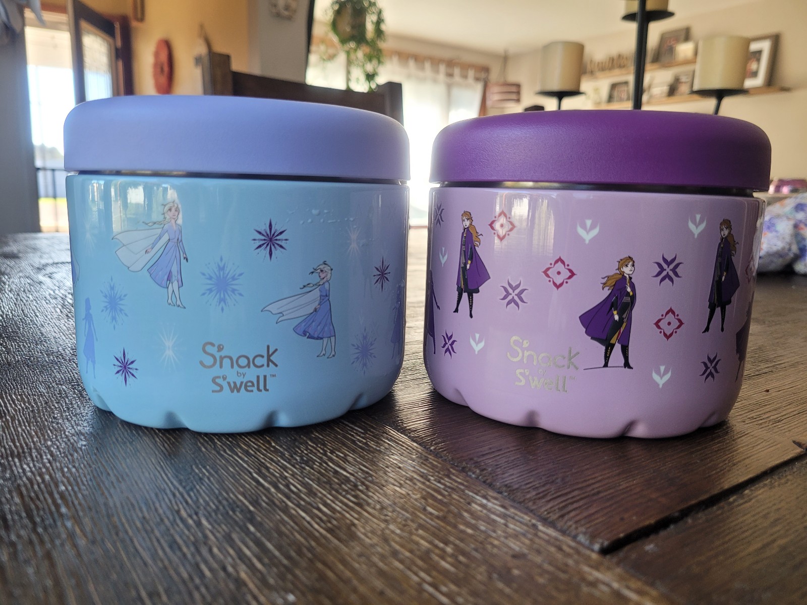S'well 24oz Frozen containers