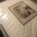 United Curtain Vienna Eyelet Comforter