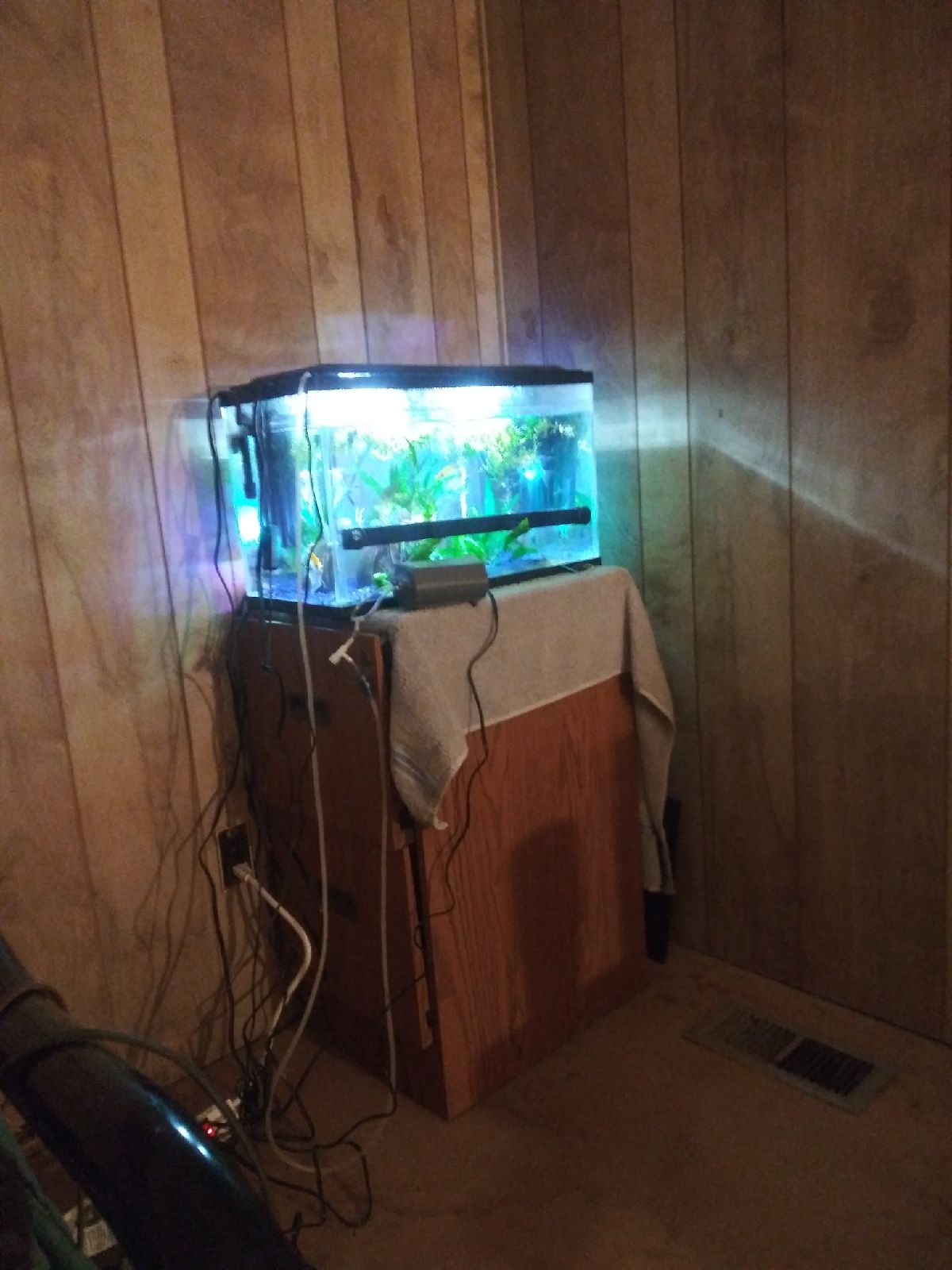Fish tank