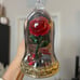 Bath & Body Works Disney Princess - Belle Rose Wallflower Plug In Scent Control