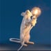 Mouse holding light bulb accent light