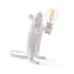 Mouse holding light bulb accent light