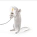 Mouse holding light bulb accent light