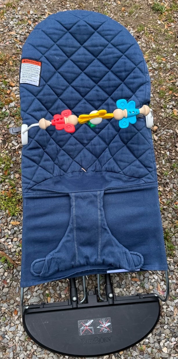 Baby Bjorn Bouncer