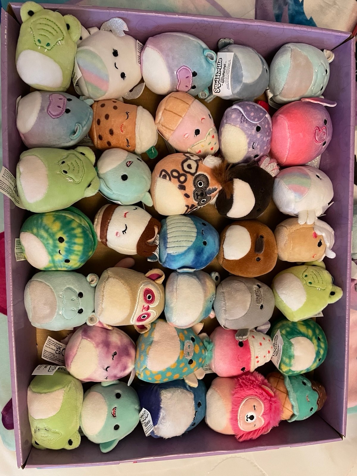 Squishmallow Squishville Bundle