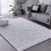 Shaggy Rug Area Rugs for Living Room, Anti-Skid Extra Comfy 2x3 White