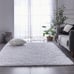 Shaggy Rug Area Rugs for Living Room, Anti-Skid Extra Comfy 2x3 White