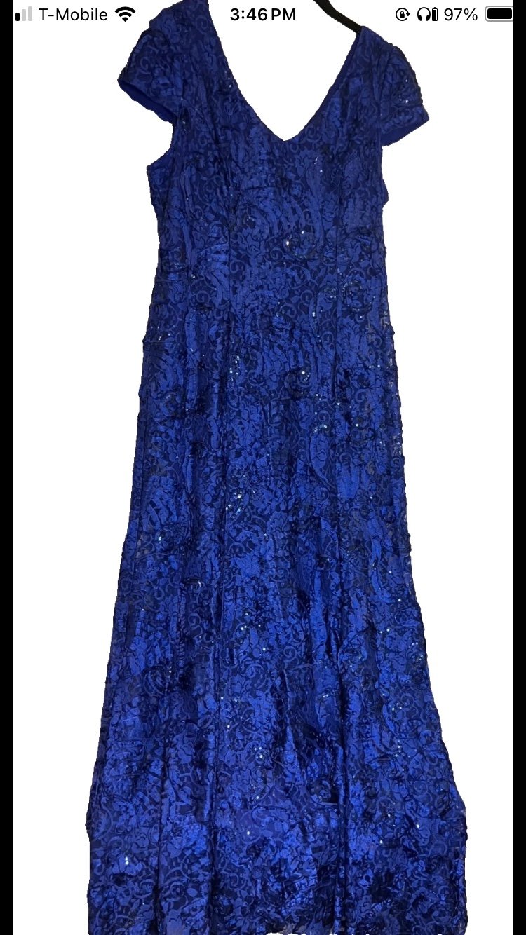 Alex Evenings Embellished Lace Rosette Maxi Formal Gown Size 14 Wedding NWT