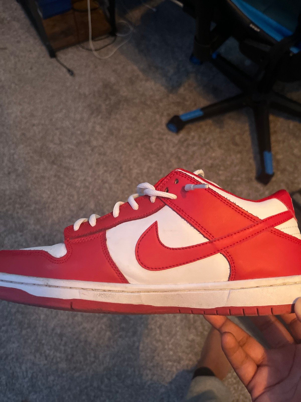 Nike sb dunks