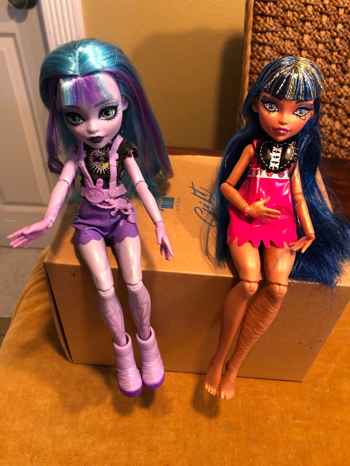 Monster High Doll Bundle of 2 & 2 Coffin Carrying Cases