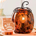 Scentsy Tiger ’s Eye Warmer