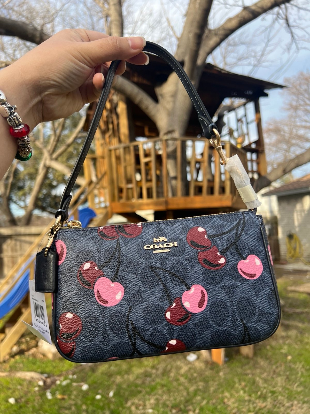 Coach Nolita 19 In Signature Canvas With Cherry Print