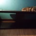 Entertainment center with glass shelf