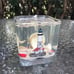Burning Expressions Boston Light Lighthouse Seashells Scented Gel Candle Art USA