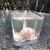 Burning Expressions Boston Light Lighthouse Seashells Scented Gel Candle Art USA