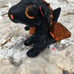 Ty BOO MERLIN the Dragon ULTRA RARE Walgreens 2017 Exclusive 6 inch Version NWT!