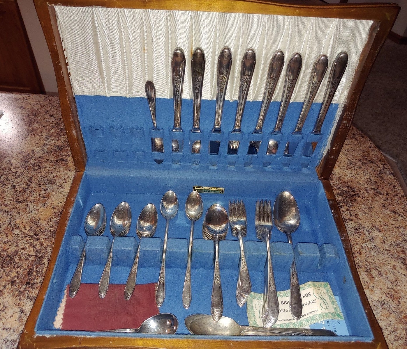 Vintage WM Rogers & Son Flatware Gardenia