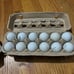 2 dozen various Titleist Pro-V 1 golf balls