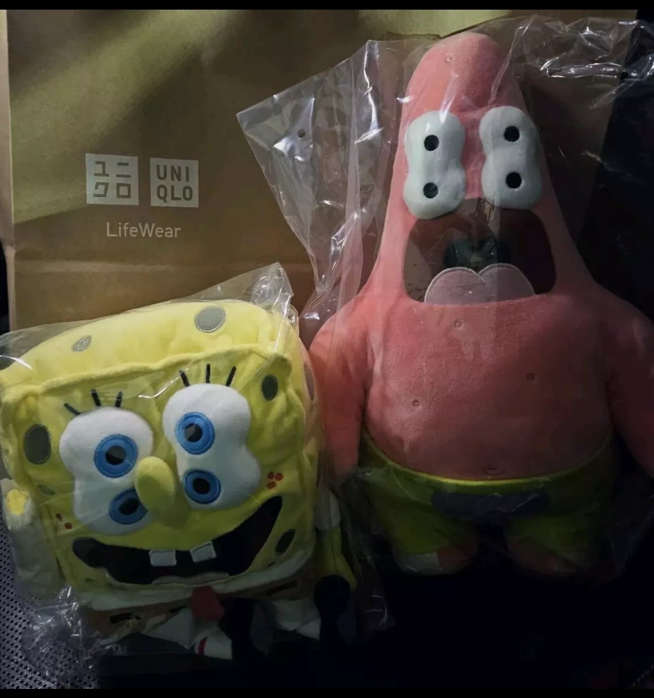 SpongeBob SquarePants Cactus plant flea marketPatrick star and spongebob