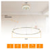 LED Chandelier
