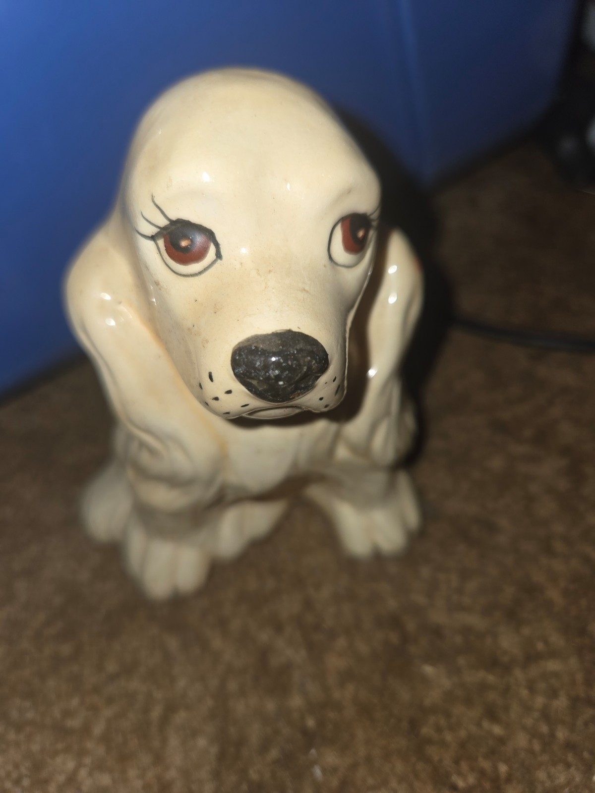 Rare dogs