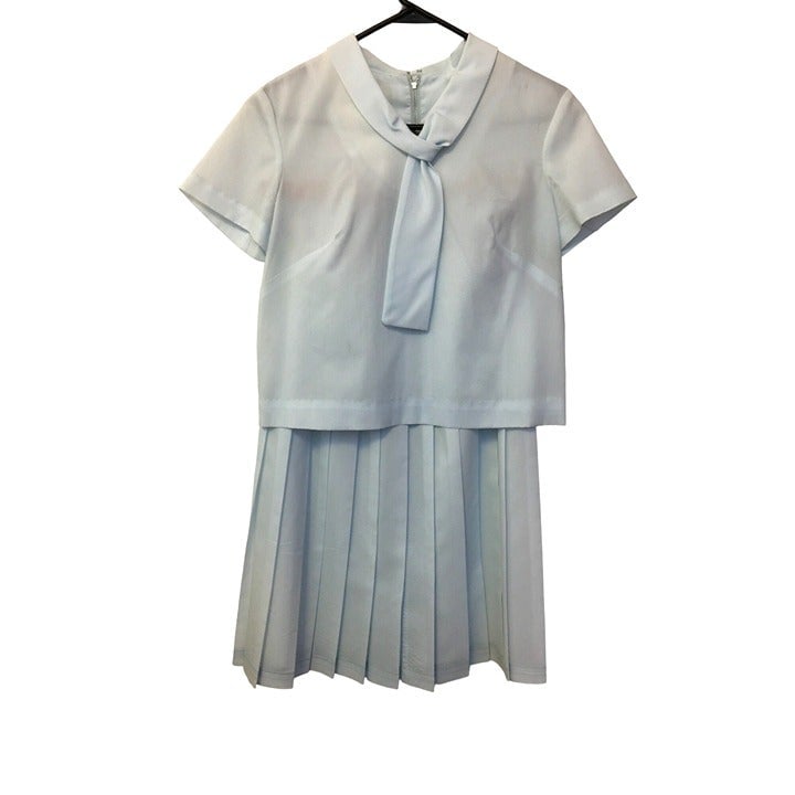 Vintage 50s Skirt Set Cropped Top Pastel Twee School Soft Girl Anime Kawaii (BT)