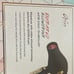 Aria Beauty Infrared Blowdryer with Ionic Technology