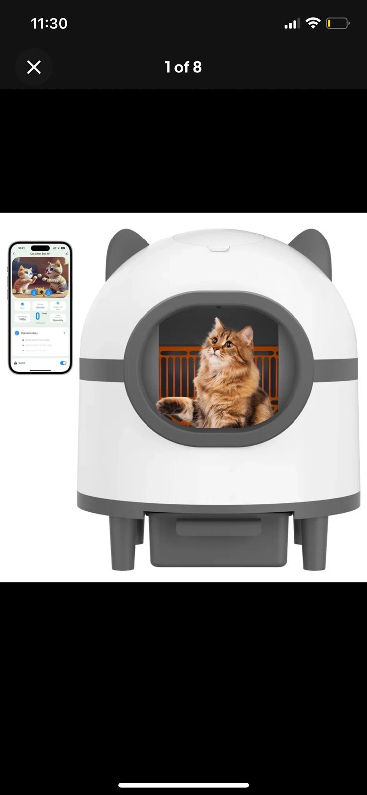 Litter Box