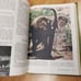 Vintage Disney walt Disney's world of nature book 1964