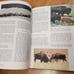 Vintage Disney walt Disney's world of nature book 1964