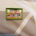 Leap Frog Explorer Learning Games