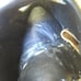 Rawlings Baseball Glove Player Mark Of A Pro Series RBG36T 12.5 RHT Great !!