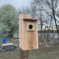 2 Cedar Bluebird Houses Bird Houses