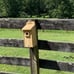 2 Cedar Bluebird Houses Bird Houses