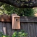 2 Cedar Bluebird Houses Bird Houses