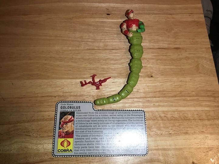 G.I. Joe ARAH Hasbro 1987 Golobulus Cobra La Ruler 100% Complete W(File Card (NM
