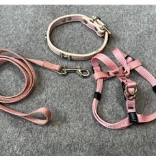 Small dog Pink Leash,collar,harness bund