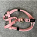 Small dog Pink Leash,collar,harness bund
