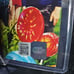 MICHAEL BOLLNER signed autograph WILLY WONKA AND THE CHOCOLATE FACTORY.